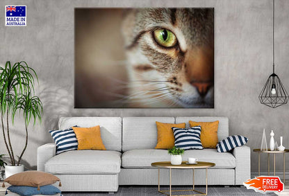 Cat Yellow Eye Closeup Photograph Print 100% Australian Made