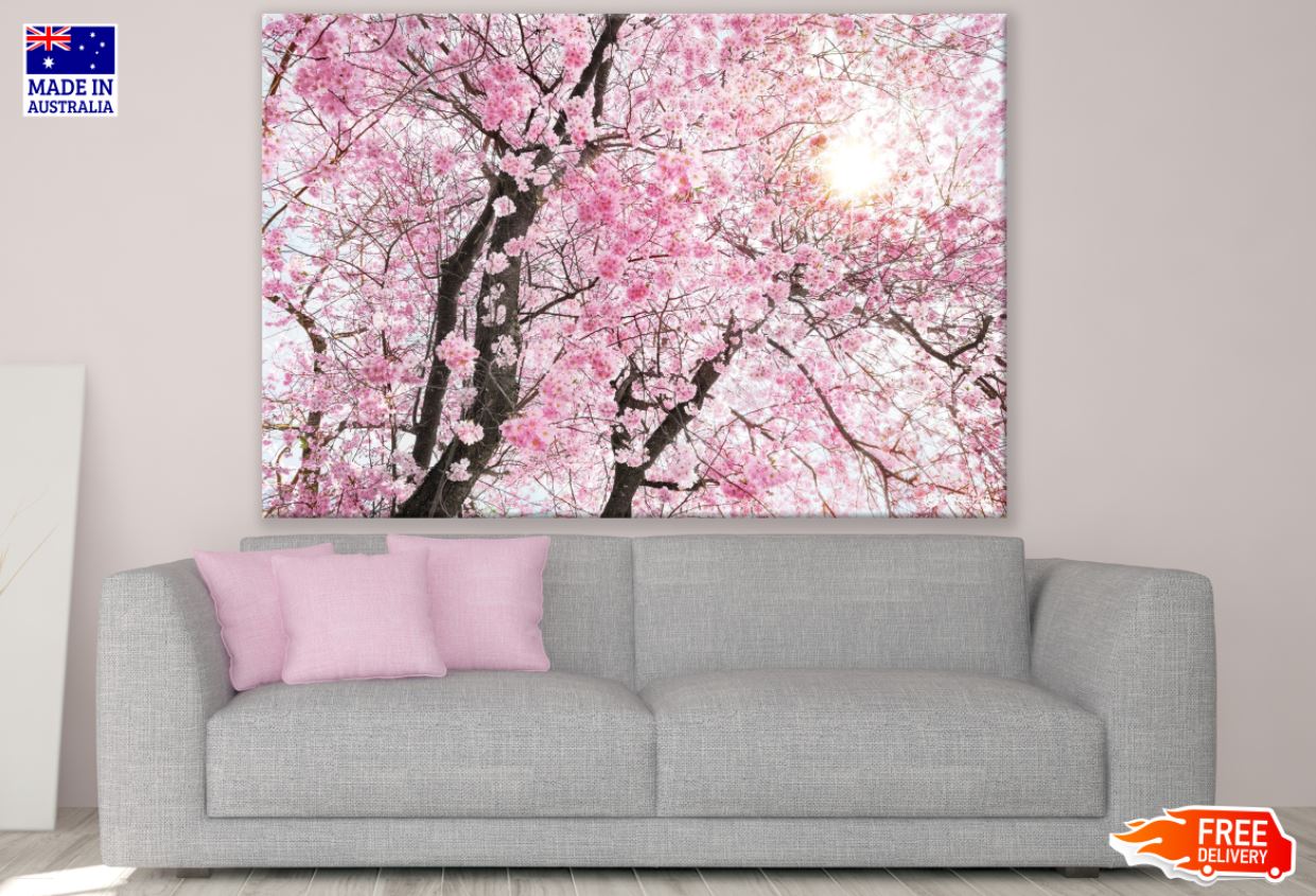 Blossom Tree Closeup Photograph Print 100% Australian Made