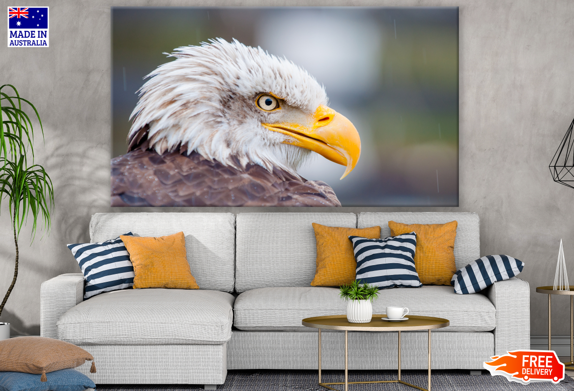 Eagle Head Portrait Photograph Print 100% Australian Made