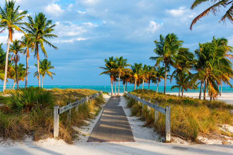 Wooden Boardwalk in Crandon Park in Key Biscayne Miami, USA Print 100% Australian Made