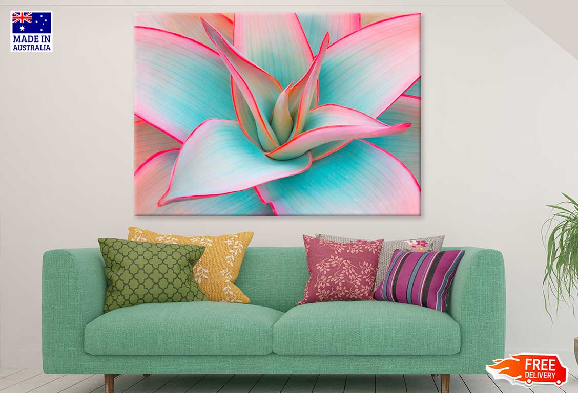 Exotic Flower Closeup Photograph Print 100% Australian Made