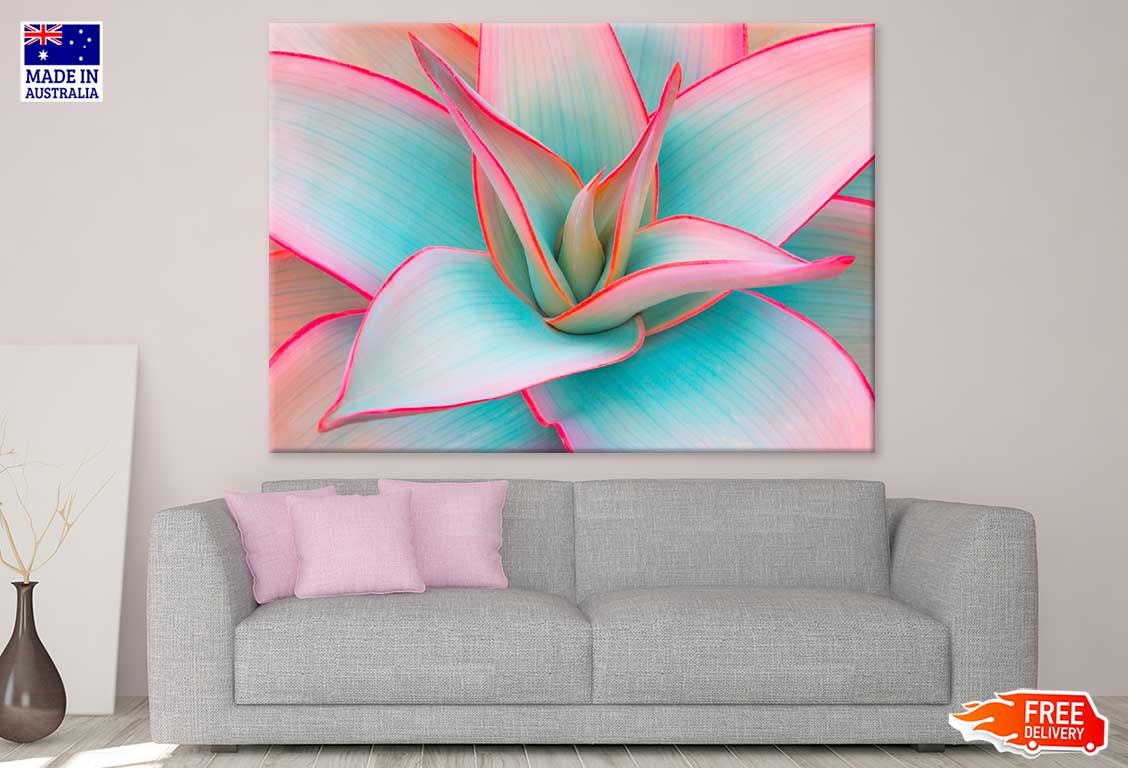 Exotic Flower Closeup Photograph Print 100% Australian Made