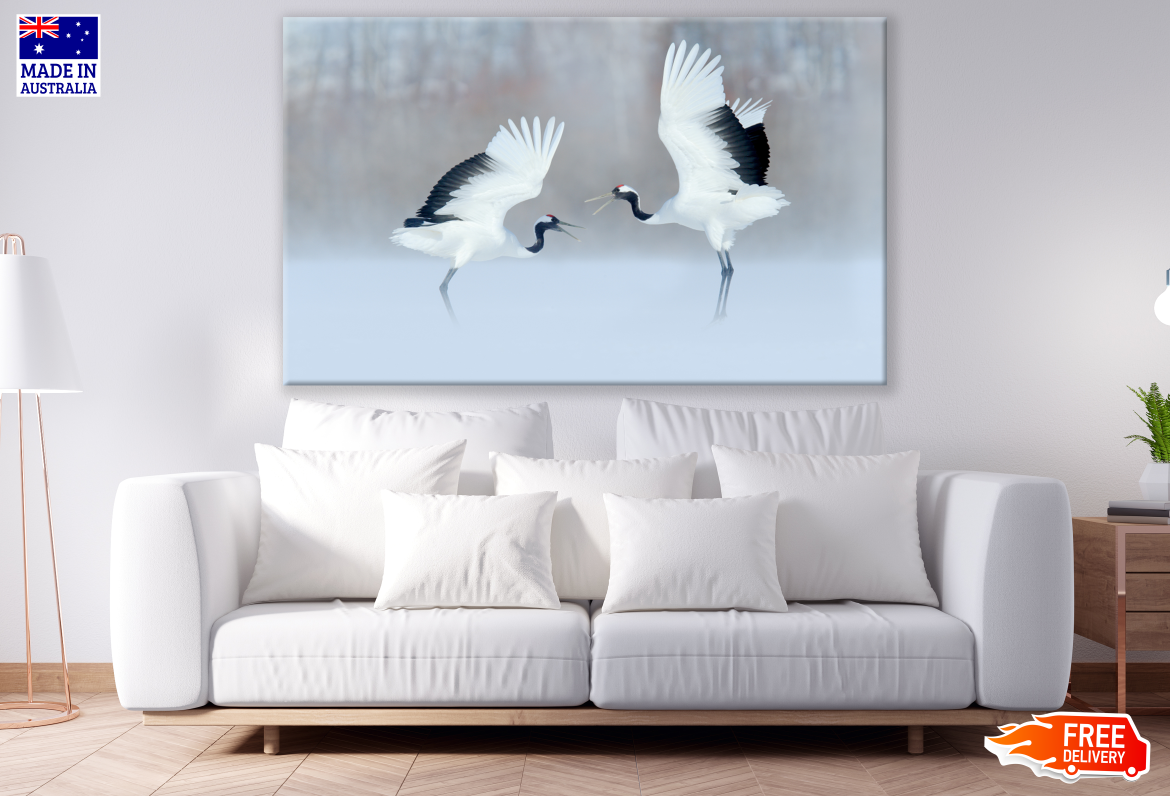 Red Crowned Crane Couple Dancing Photograph Print 100% Australian Made