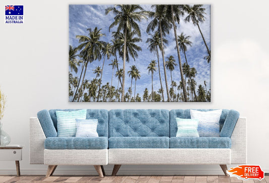 Palm Trees Under Blue Sky Photograph Print 100% Australian Made