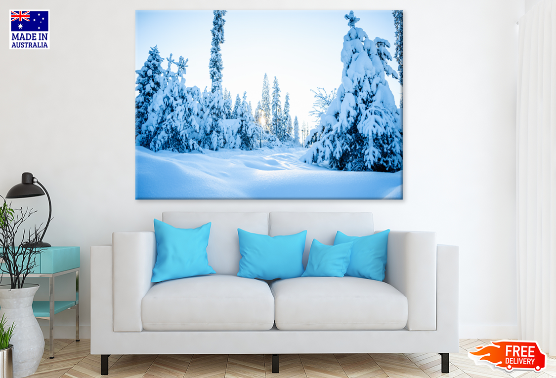 Snow Coverd Trees View Photograph Print 100% Australian Made