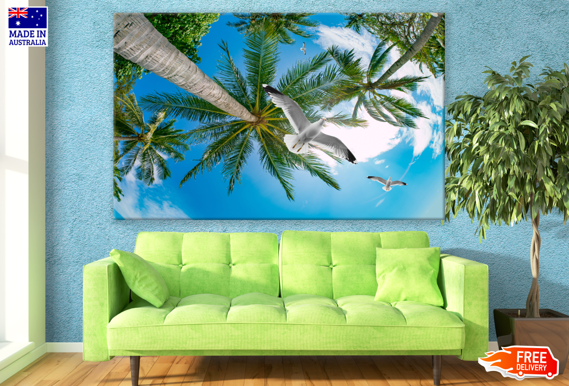 Coconut Trees & Birds Flying Photograph Print 100% Australian Made