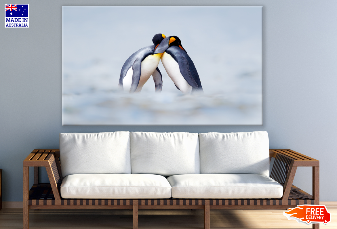 Penguins Hugging Photograph Print 100% Australian Made