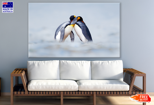 Penguins Hugging Photograph Print 100% Australian Made