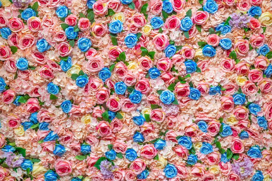 Blue & Pink Garden Roses View Photograph Print 100% Australian Made