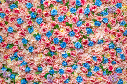 Blue & Pink Garden Roses View Photograph Print 100% Australian Made