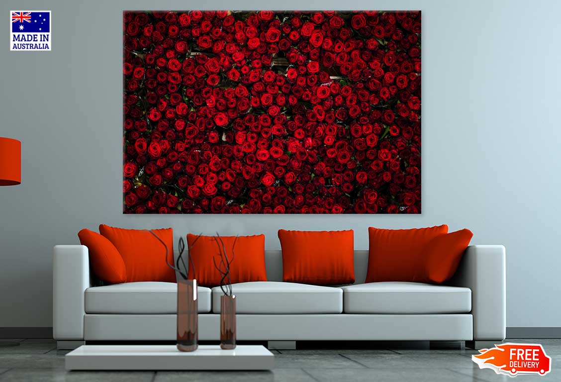 Red Roses View Photograph Print 100% Australian Made