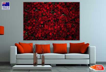 Red Roses View Photograph Print 100% Australian Made