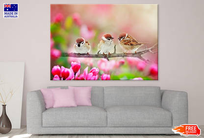 Spring Birds & Flowers Photograph View Print 100% Australian Made