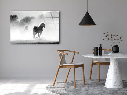 Running Horse Misty Photograph Acrylic Glass Print Tempered Glass Wall Art 100% Made in Australia Ready to Hang