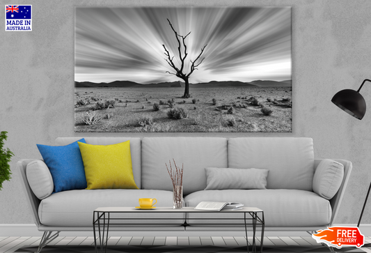 Single Dead Tree On a Valley B&W Photograph Print 100% Australian Made