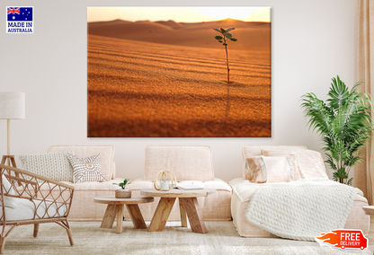 Desert & Plant Closeup Photography View Print 100% Australian Made