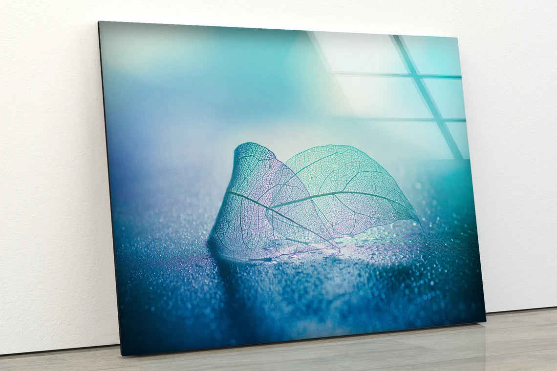 Colorful Leaf Photograph Acrylic Glass Print Tempered Glass Wall Art 100% Made in Australia Ready to Hang