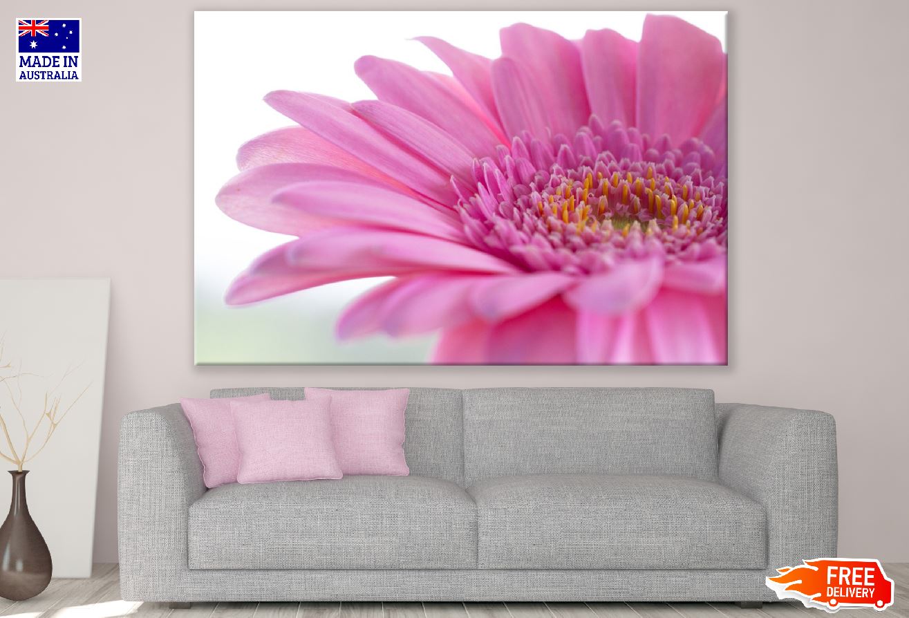 Pink Gerbera Flower Closeup Macro Photograph Print 100% Australian Made