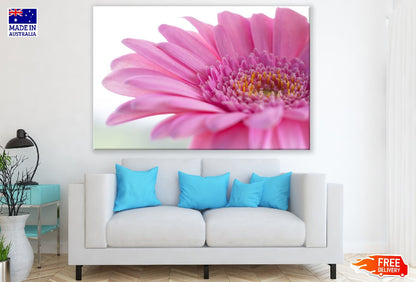 Pink Gerbera Flower Closeup Macro Photograph Print 100% Australian Made