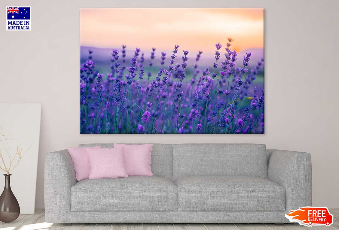 Purple Violet Flower Field View Photograph Print 100% Australian Made