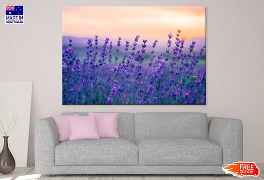 Purple Violet Flower Field View Photograph Print 100% Australian Made