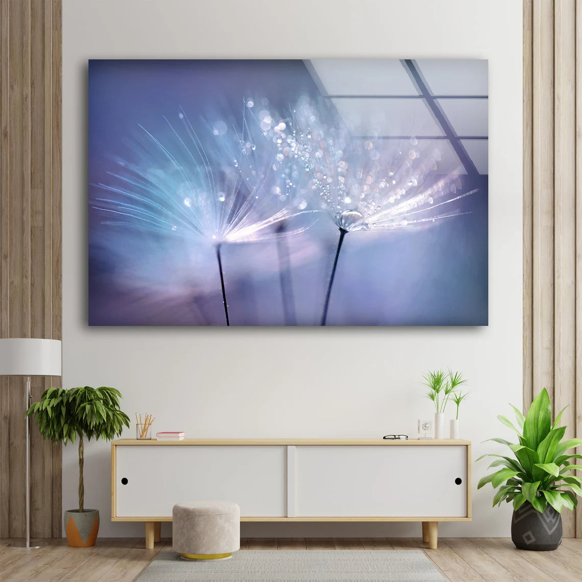 Dandelion Flower with Water Drops Photograph Acrylic Glass Print Tempered Glass Wall Art 100% Made in Australia Ready to Hang