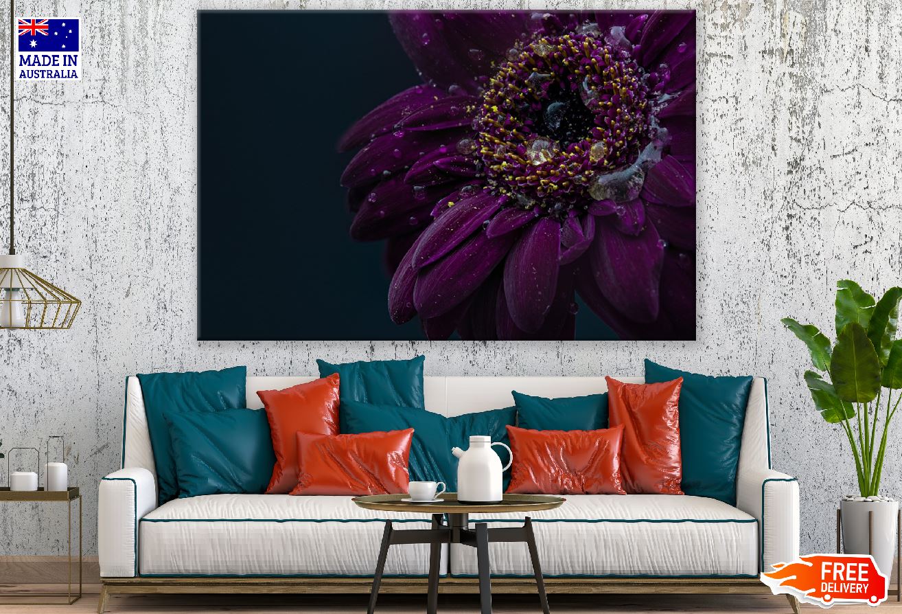 Purple Gerbera Flower Closeup Macro Photograph Print 100% Australian Made