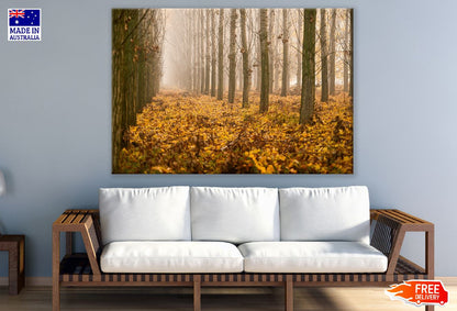 Park Trees Leaves Autumn Scenery Photograph Print 100% Australian Made