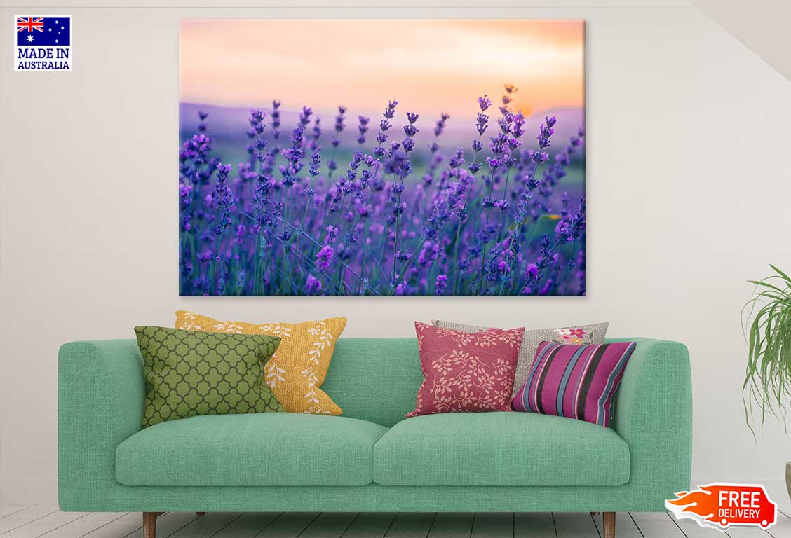 Purple Violet Flower Field View Photograph Print 100% Australian Made