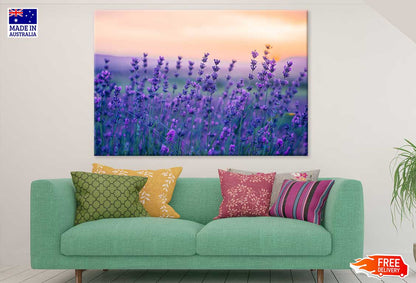 Purple Violet Flower Field View Photograph Print 100% Australian Made
