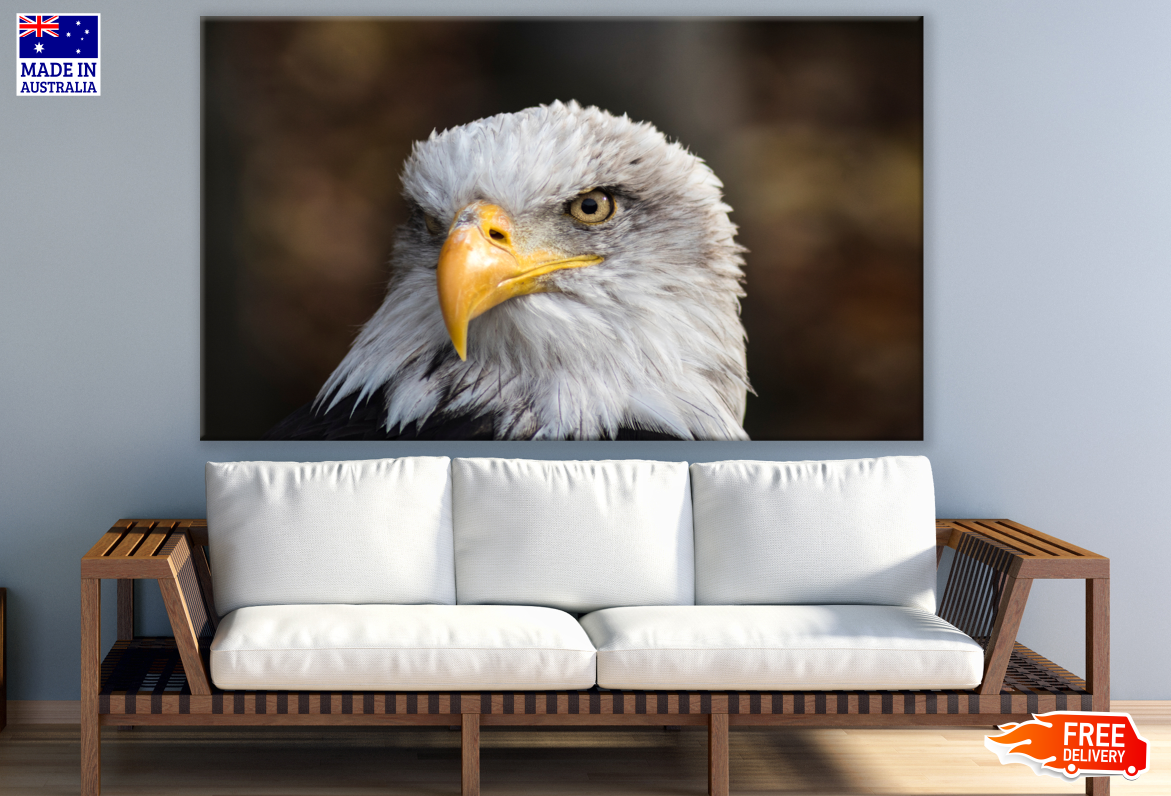 Eagle Face Portrait Photograph Print 100% Australian Made