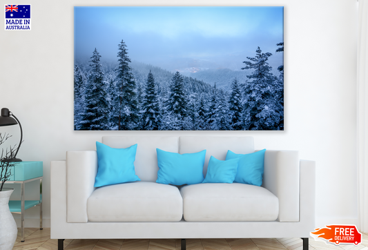 Stunning Forest Snow Coverd Trees Photograph Print 100% Australian Made