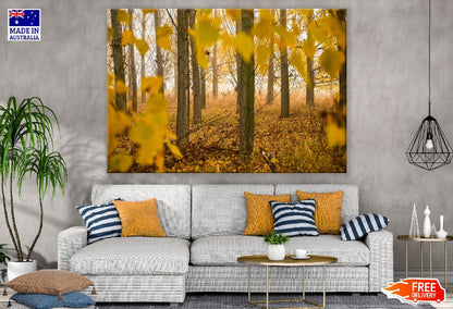 Park Trees Leaves Autumn Scenery Photograph Print 100% Australian Made