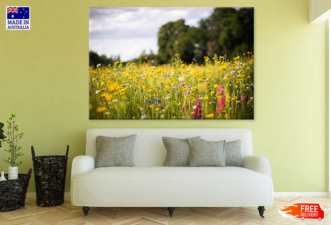 Colorful Wild Flower Field View Photograph Print 100% Australian Made
