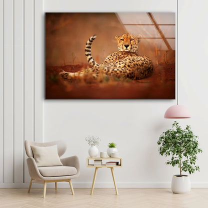 Cheetah Closeup Photograph Acrylic Glass Print Tempered Glass Wall Art 100% Made in Australia Ready to Hang