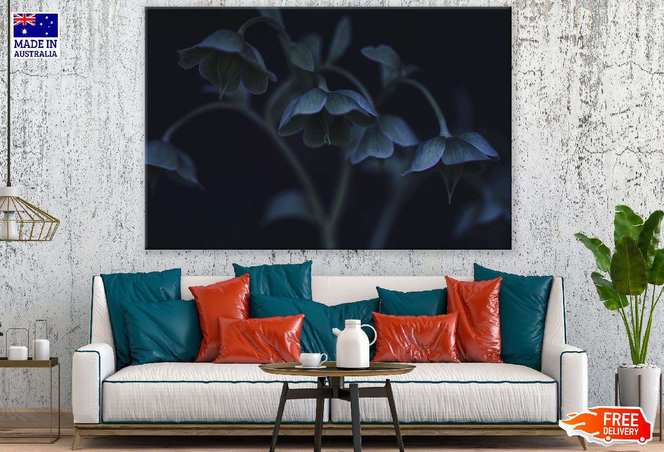 Blue Hellebore Flowers Photograph Print 100% Australian Made