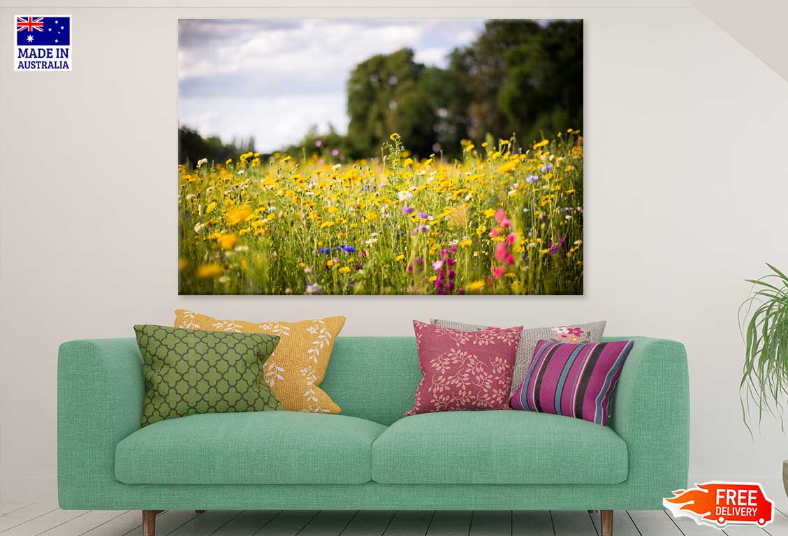 Colorful Wild Flower Field View Photograph Print 100% Australian Made