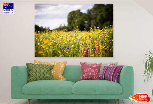 Colorful Wild Flower Field View Photograph Print 100% Australian Made