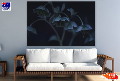 Blue Hellebore Flowers Photograph Print 100% Australian Made