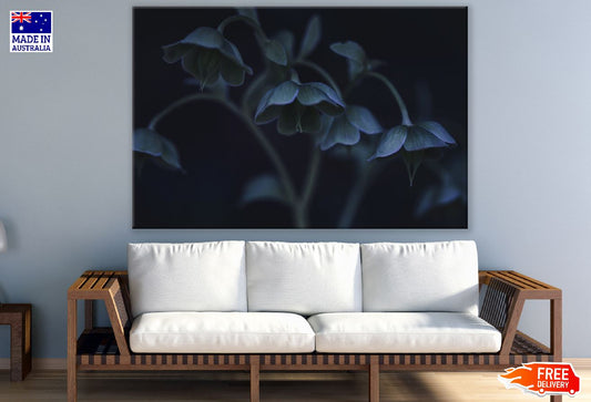 Blue Hellebore Flowers Photograph Print 100% Australian Made