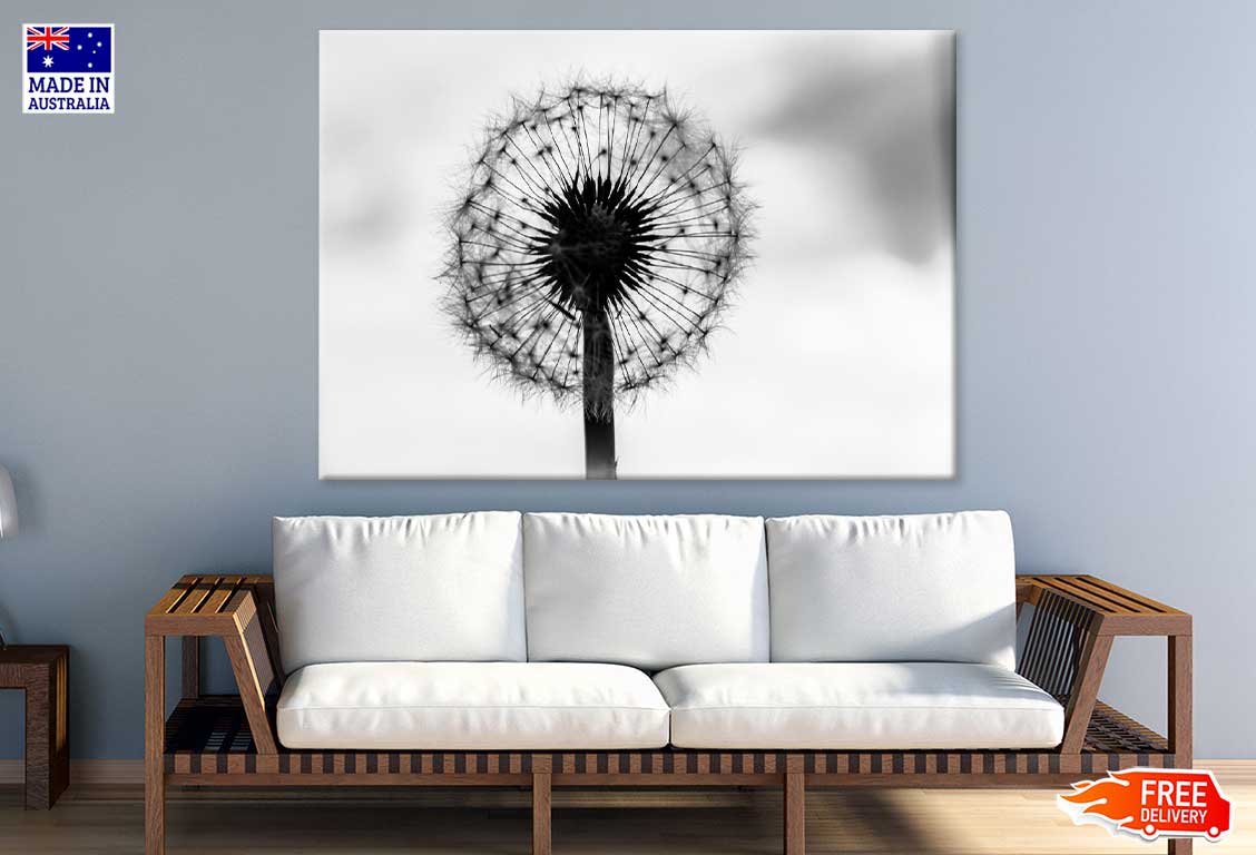 Dandelion Under Sky B&W View Photograph Print 100% Australian Made