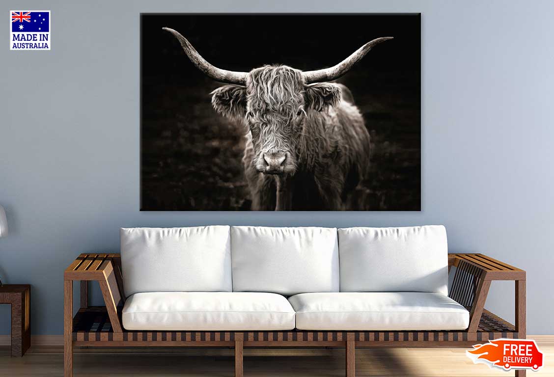 Highland Cow Face B&W Photograph Print 100% Australian Made