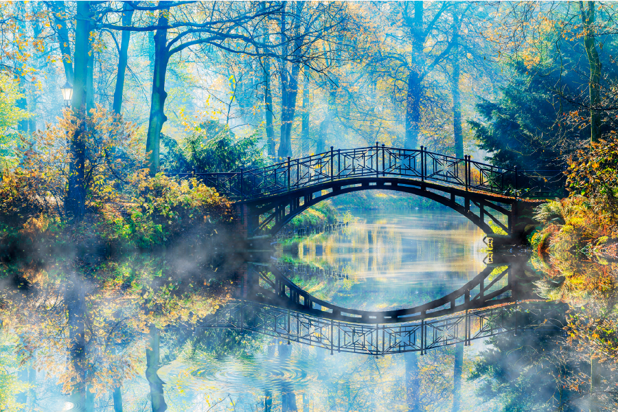 Bridge On River & Forest View Print 100% Australian Made