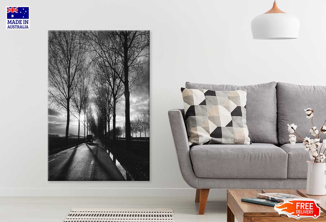 Trees Covered Road with Car B&W Photograph Print 100% Australian Made