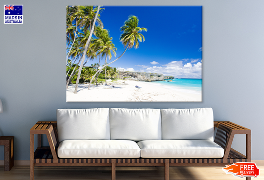 Mountain Palm Trees & Sea Aerial View Print 100% Australian Made