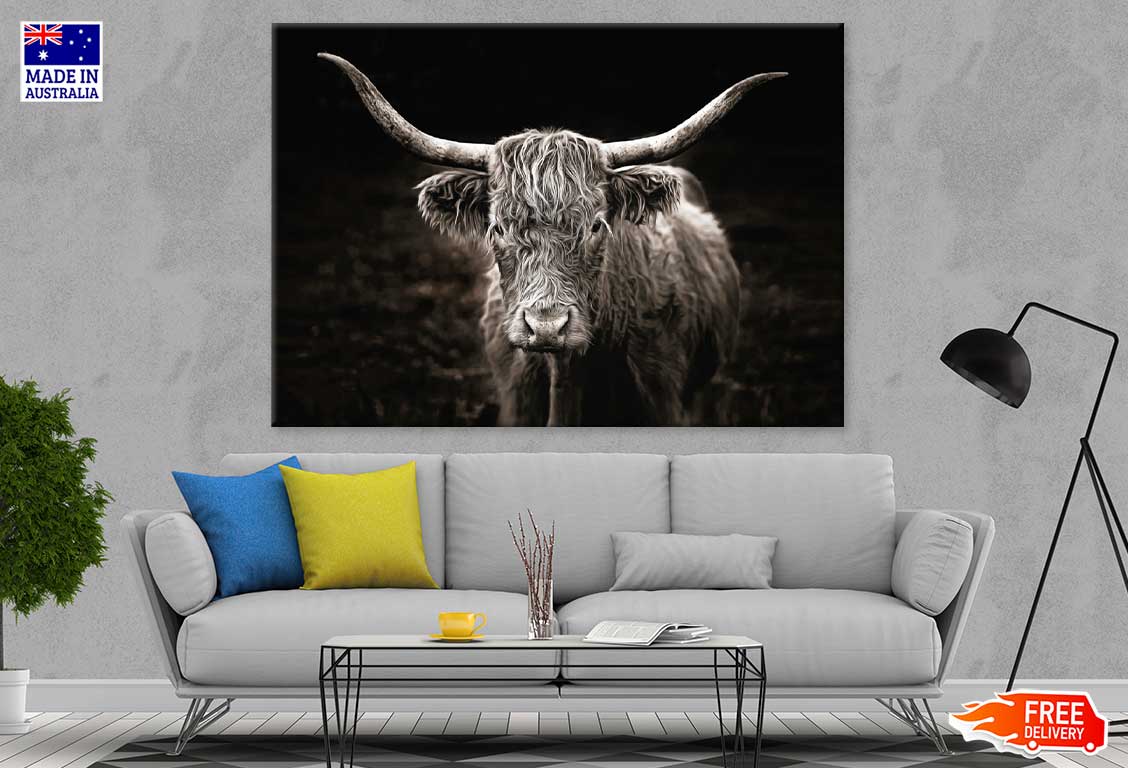 Highland Cow Face B&W Photograph Print 100% Australian Made