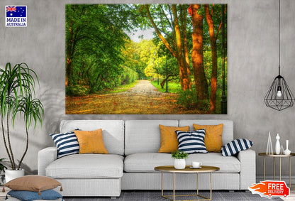 Road Near Huge Forest Photograph Print 100% Australian Made