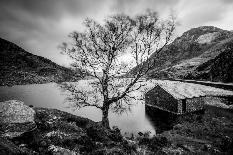 House & Tree near Lake B&W View Photograph Home Decor Premium Quality Poster Print Choose Your Sizes