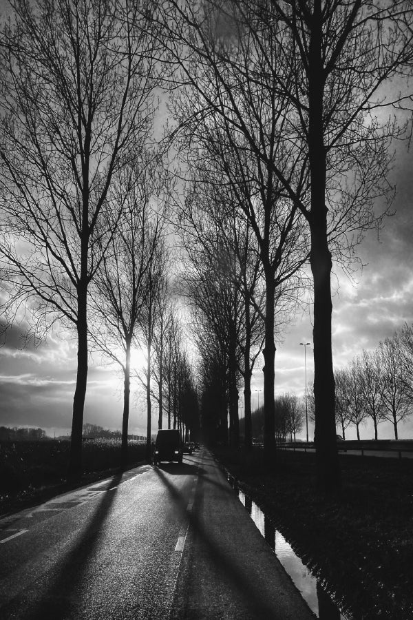 Trees Covered Road with Car B&W Photograph Print 100% Australian Made