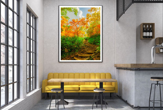 Autumn Trees Pathway Scenery View Home Decor Premium Quality Poster Print Choose Your Sizes
